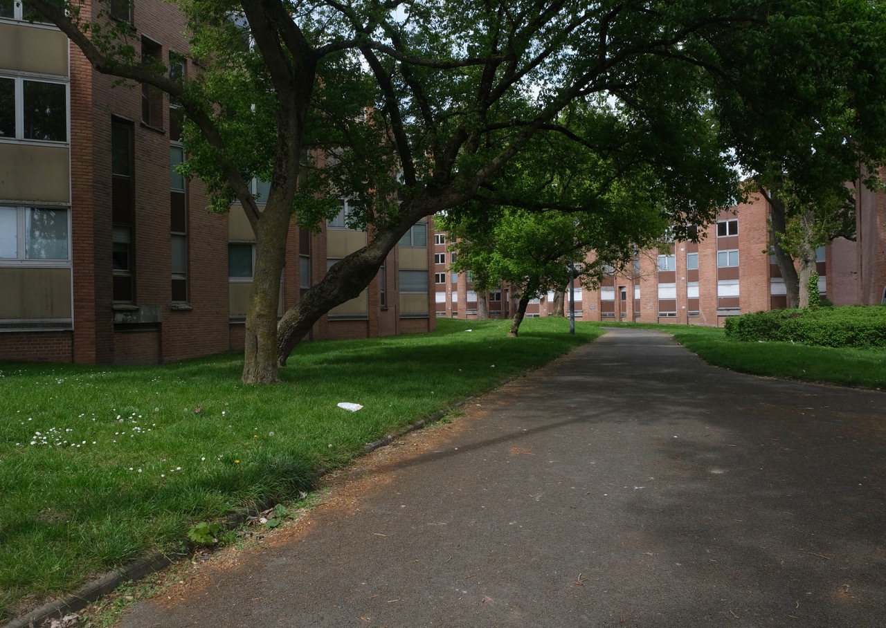 Tourcoing : les femmes « ciment de quartier »